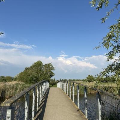 Koolhofputten